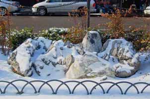centerinsnow2